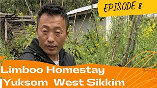 Yuksom Homestay  Limboo Homestay  Cheapest and best food in Yuksom Sikkim [upl. by Garrik]