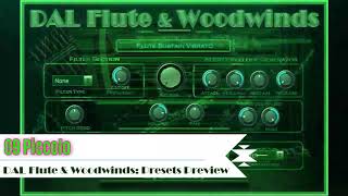 Virtual Piccolo VST VST3 Audio Unit EXS24 KONTAKT by DAL Flute amp Woodwinds Oboe Clarinet Bassoon [upl. by Nuhsed]