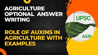 Role of Auxins  Agriculture Optional Answer Writing Practice  UPSC [upl. by Ialda234]