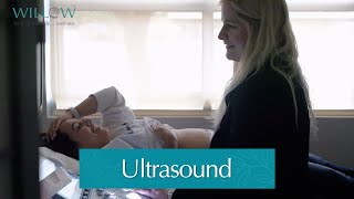 Ultrasound with Willow [upl. by Jud]