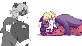 quotMarichat AUquot  Miraculous Ladybug Comic Dub [upl. by Ahsiyk]