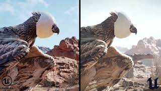 Meerkat Demo Comparison UE4 vs UE51 LIGHTING STUDY [upl. by Gardiner464]