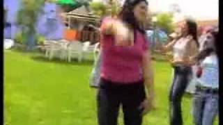 dance marocain rythme rai algerie [upl. by Yesllek]