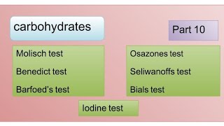 Molisch  Benedict  Barfoeds  seliwanoffs  Bials  Osazone amp Iodine test [upl. by Buckels]