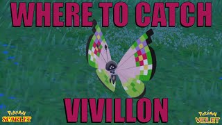 Where to Catch Vivillon in Pokemon Scarlet and Violet [upl. by Eniroc]