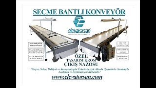 GENİŞ SEÇME BANTLI KONVEYOR  WIDE SORTING BELT CONVEYOR [upl. by Katey]