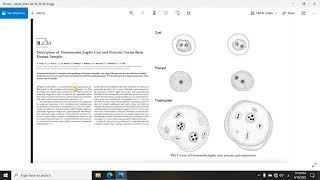 Dientamoeba fragilis شرح [upl. by Amla]