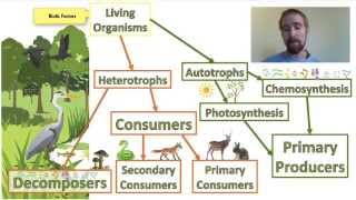 Biology 012 Ecosystems  Biotic and Abiotic Factors [upl. by Luy]