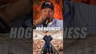 How the Hog Business is One of The Best Food Production Systems [upl. by Egiaf897]