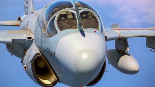 EA6B Prowler Jamming Specialist The Sky Pig Aircraft That You Have Never Seen [upl. by Daney]