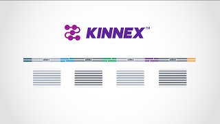 Kinnex explained—how concatenating smaller amplicons increases throughput for PacBio HiFi sequencing [upl. by Ainotna]