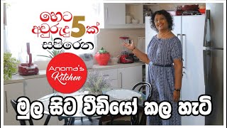 Anomas Kitchen මුල සිට වීඩියෝ කල හැටි  My YouTube Filming Journey from the very Beginning [upl. by Nesilla]