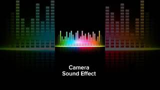 Camera  Sound Effect [upl. by Obadias]