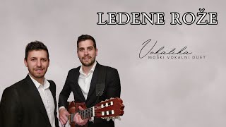 Ledene rože v živo Duet Vokalika  pogrebno petje [upl. by Yemaj]