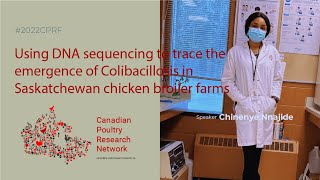 Using DNA Sequencing to Trace the Emergence of Colibacillosis in Saskatchewan Chicken Broiler Farms [upl. by Niwre]