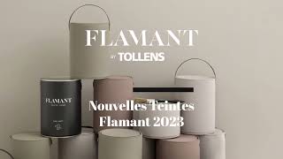 Les 3 nouvelles teintes Flamant 2023 [upl. by Leihcey]