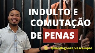 Indulto e Comutação de Penas  Direito Penal [upl. by Tila]