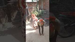 mard tangewala nananani viral dance [upl. by Assilana]