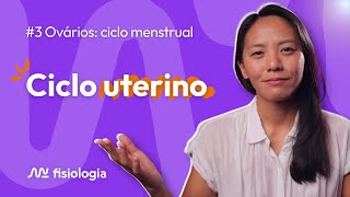 3 OVÁRIOS CICLO MENSTRUAL CICLO UTERINO  MK Fisiologia [upl. by Aidas556]