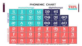 PHONETICAL TRANSCRIPTION EXAMPLES  VIDEO LECTURE Dr NISHITHA [upl. by Neenad]