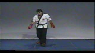 Fighting Combinations 5 count drills [upl. by Anele]