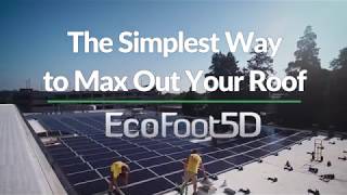 EcoFoot5D Introduction FINAL [upl. by Aimit]