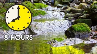 8 hours Relaxing nature soundsBird songsWater sounds for healingmeditationcalmingsleeping aid [upl. by Tobye]