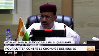 Niger comment lutter contre le chômage des jeunes [upl. by Drucill]