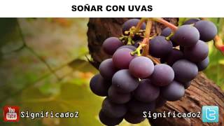 ✔ Significado de Soñar con Uvas ¿QUE SIGNIFICA [upl. by Peregrine]