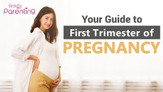 First Trimester of Pregnancy – What to Expect [upl. by Eserrehs]