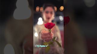 Zohra Jabeen  Jaani B Praak  Sad Song  tgdigital sadstatus tgmusic lofimusic sadlofi LoFi [upl. by Schaaff]