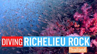 Richelieu Rock  Famous dive site in Thailand fully covered with glass fish the Junk liveaboard [upl. by Ytsenoh]