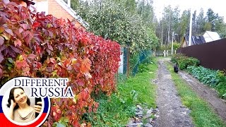 Inside Real Russian Dacha Community My Dacha Bills [upl. by Lederer]