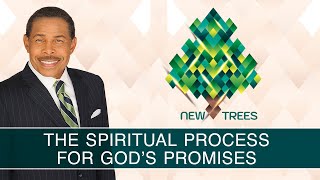 The Spiritual Process For GODs Promises  New Trees [upl. by Fantasia]