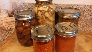 Basic Safe Home Canning Method [upl. by Fontes]