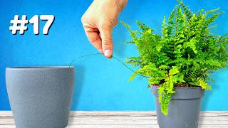 Top 28 Plant Hacks You Need To See [upl. by Zetrok]