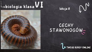 Biologia klasa 6 Lekcja 8  Cechy stawonogów [upl. by Barth]