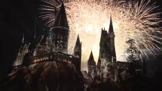 The Wizarding World of Harry Potter Premiere [upl. by Jorey]