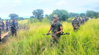 MORALE DES FARDC AU ZÉNITH POUR NEUTRALISER LES GROUPESARMESLOCAUX ETÉTRANGERS loteria real en vivo [upl. by Edette93]