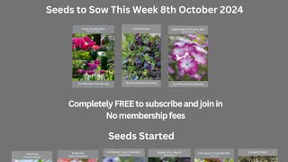 Seeds being started this week 8 October 2024 Agrostemma Cerinthe Poppies [upl. by Swaine299]