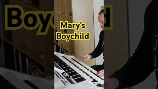 Marys Boychild boneym chrisnorman christmas evergreenhits christmasmusic Wersi Sonic Orgel OAX [upl. by Gabby]