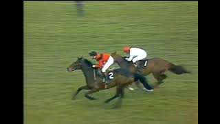 IRISH HORSE RACING  DAWN RUN BEATS BUCK HOUSE IN THE MATCH AT PUNCHESTOWN RTE SPORT IRELAND 1986 [upl. by Yesnyl889]