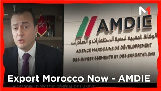 Export Morocco NowAccompagnement des entreprises le point sur le rôle de l’AMDIE avec Ali Seddiki [upl. by Carmelita]