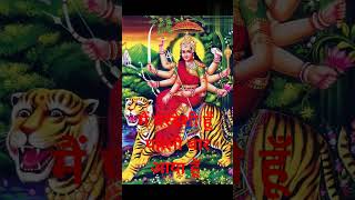 Shri Mata Vaishno Devi Darshan  Mata Rani ke pheli baar darhsan kiyeshortvideos [upl. by Nnylhsa]