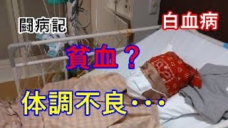 【白血病】貧血ですか？それとも？【闘病記】入院２０日目～２２日目 [upl. by Eerehc]