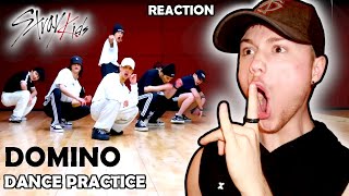 Dancer Reacts To Stray Kids quotDOMINOquot Dance Practice Video REACTION [upl. by Treborsemaj434]