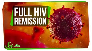 The SecondEver Case of Full HIV Remission  SciShow News [upl. by Ardnaeed22]