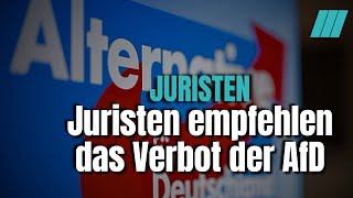 Warum Juristen das Verbot der AfD wollen [upl. by Ahsieyt]