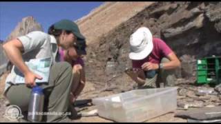 Burgess Shale Interpretive Hike  Yoho National Park [upl. by Eilrac]