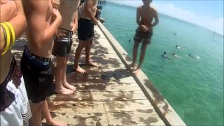 Jetty Jumping Frankston 2015 [upl. by Negriv289]